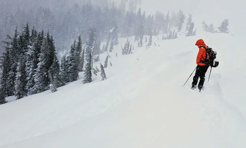 Six Skiers Rescued, Nine Still Missing After California Avalanche