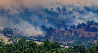Residents Evacuated as Three Bushfires Rage in Victoria, Australia