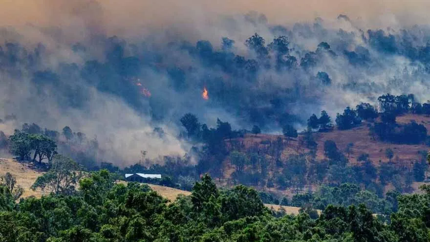 Residents Evacuated as Three Bushfires Rage in Victoria, Australia