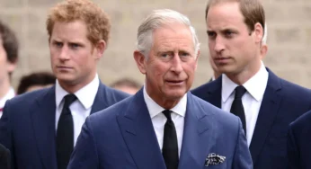 Prince Harry’s Reconciliation Push Revealed as Business Strategy