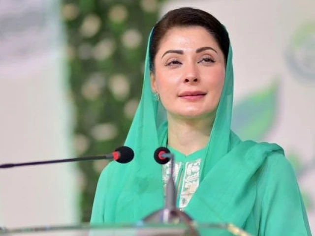 Maryam Nawaz Sharif launches Pink Button safety initiative in Murree