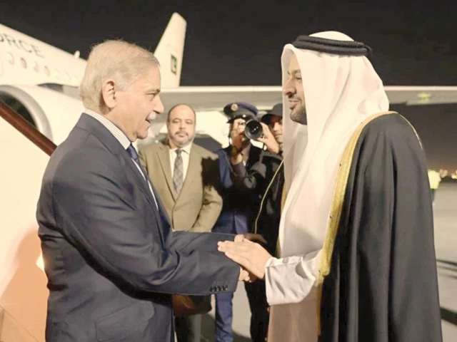 Shehbaz Sharif meets Qatari Amir amid regional conflicts