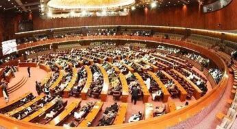 Pakistan’s Senate Rejects Israeli Statement, Supports Palestine