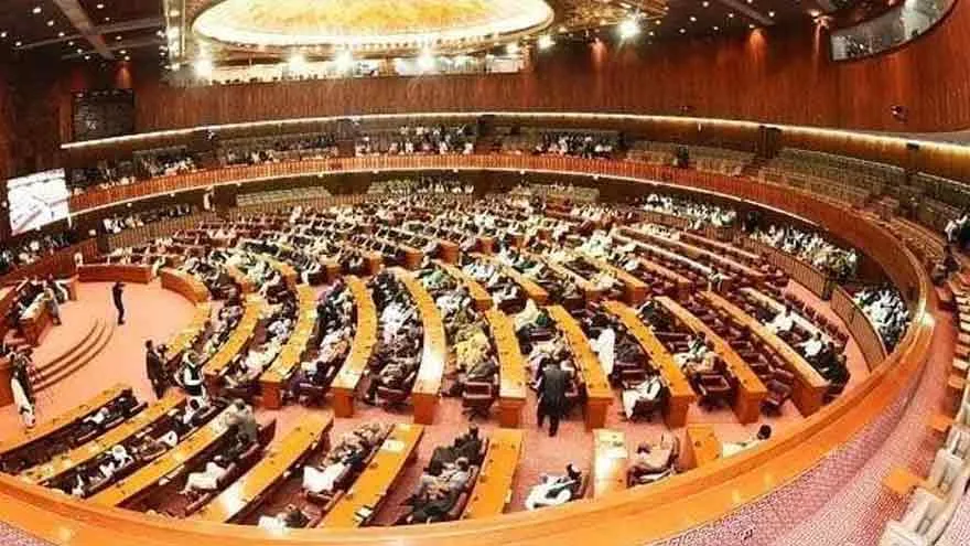 Pakistan’s Senate Rejects Israeli Statement, Supports Palestine