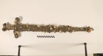 Ancient Crusader Sword Found by Haifa University Student Off Israeli Coast