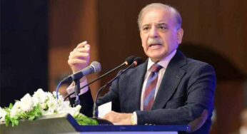 PM Shehbaz Says Govt Eliminated Corrupt Institutions to Save Economy