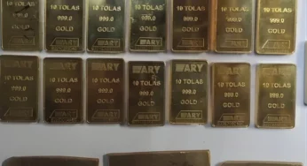 Gold Prices Stable in Pakistan; Silver Up Slight