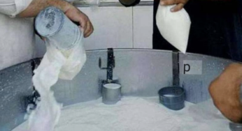 Milk Price Set to Reach Rs 300 After Eid