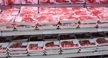 Ministry of Commerce Seeks Action Over Additional Cargo Charges on Meat Exports