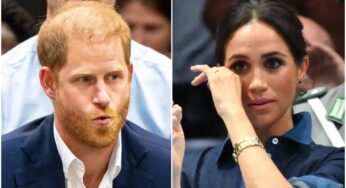 Prince Harry, Meghan Markle face Hollywood challenges without royal backing