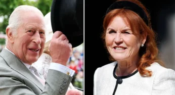 Experts Warn Monarchy on Danger from Former Duchess of York
