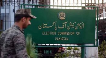 ECP forms committee to finalize Islamabad local body elections