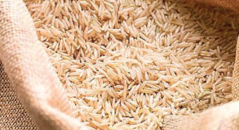 Qatar Expresses Interest in Boosting Rice Imports