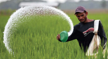 Pakistan Fertiliser Sector Posts Rs141b Net Profit in CY2025