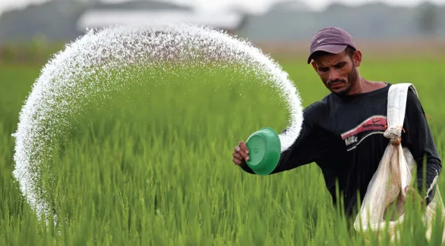 Pakistan Fertiliser Sector Posts Rs141b Net Profit in CY2025
