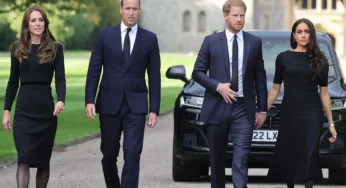 Meghan Markle and Prince Harry react to royal expert claims