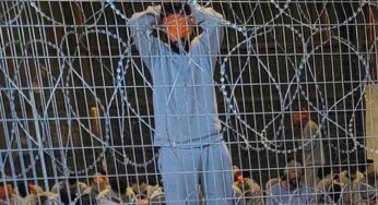 UN Expert Claims Israel Systematically Torturing Palestinians, Suggests Collective Vengeance