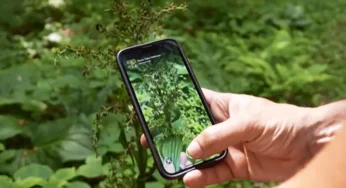 iNaturalist App Users Aid Science While Enjoying Nature