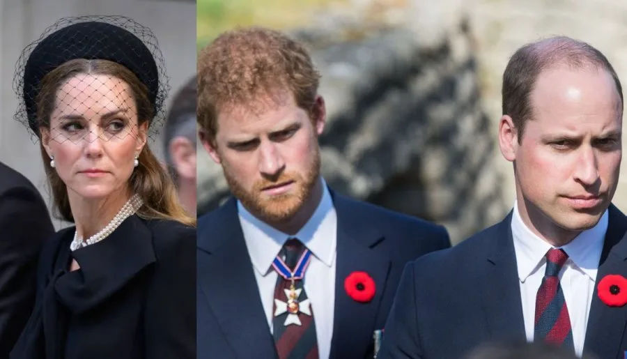 Kate Middleton Advocates for Unity Between Prince William & Harry in New Biography