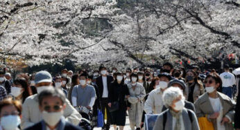 Global Inflation Hits Japan’s Cherry Blossom Picnics Hard