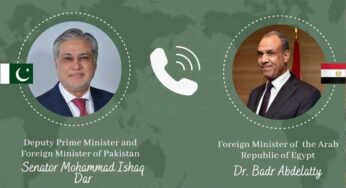 Pakistani FM Holds Talks with Egypt’s Minister on Regional Peace, Dialogue and Cooperation