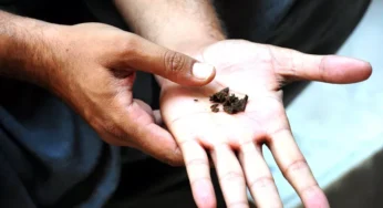 Female Drug Addiction Grows in Silence Amid Rising Awareness