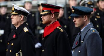 Prince William Addresses Andrew, Harry Issue with Strategic Approach