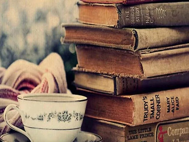 K-P Govt Launches Probe into Public University Appointments