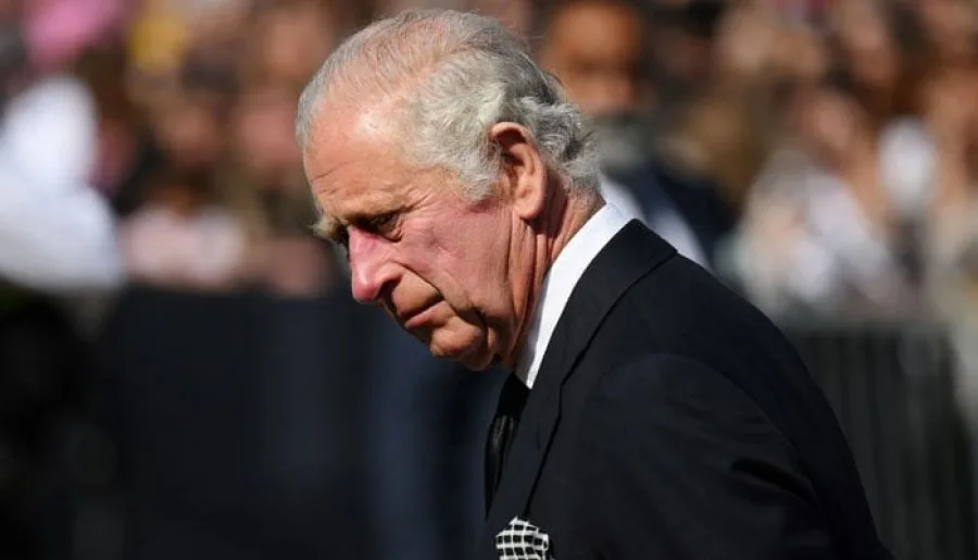 King Charles Has Intense Fear of Feline Pets, Reveals Expert