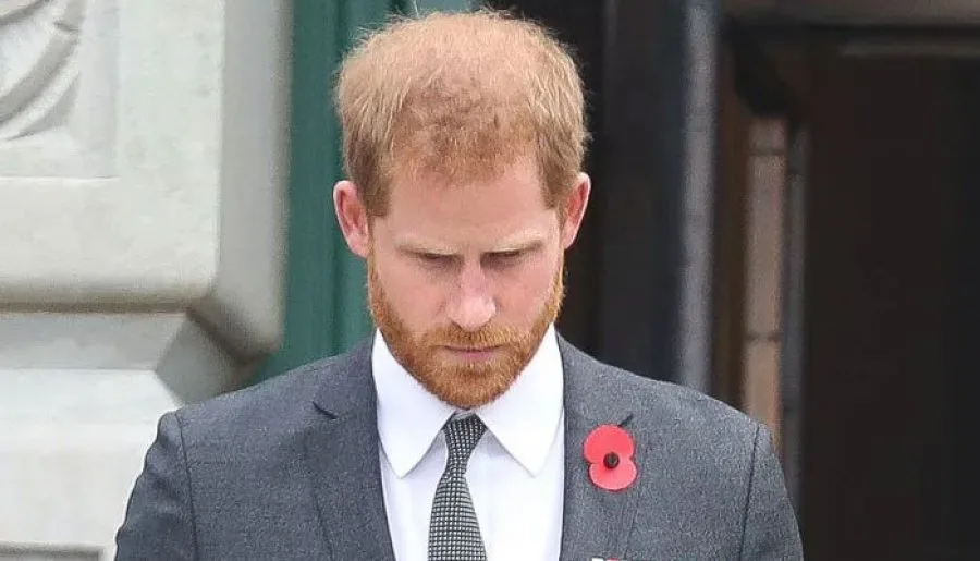 Prince Harry Denies Traumatic Childhood Claims Expert