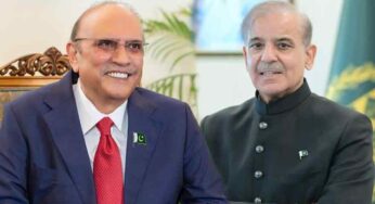 President Zardari, PM Sharif Emphasize 1973 Constitution for Democracy on National Day