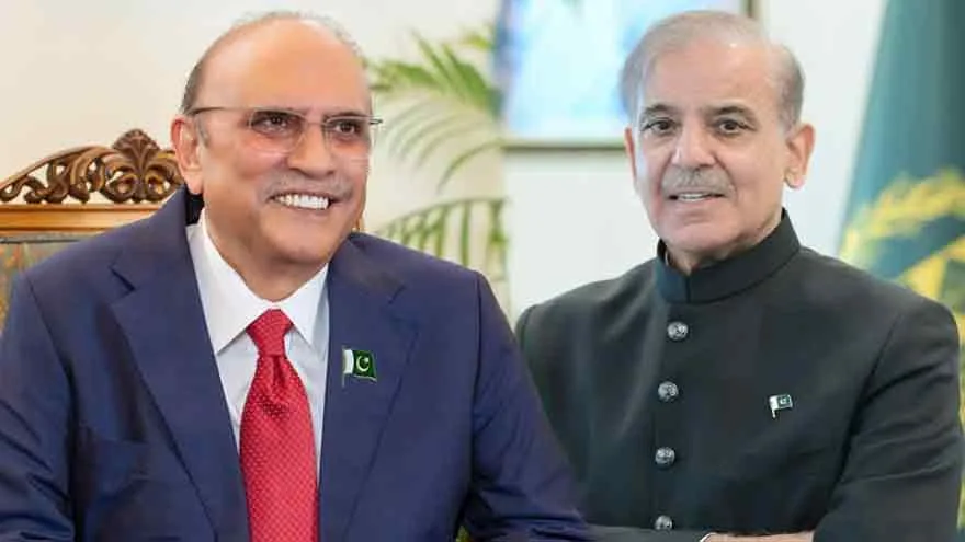 President Zardari, PM Sharif Emphasize 1973 Constitution for Democracy on National Day