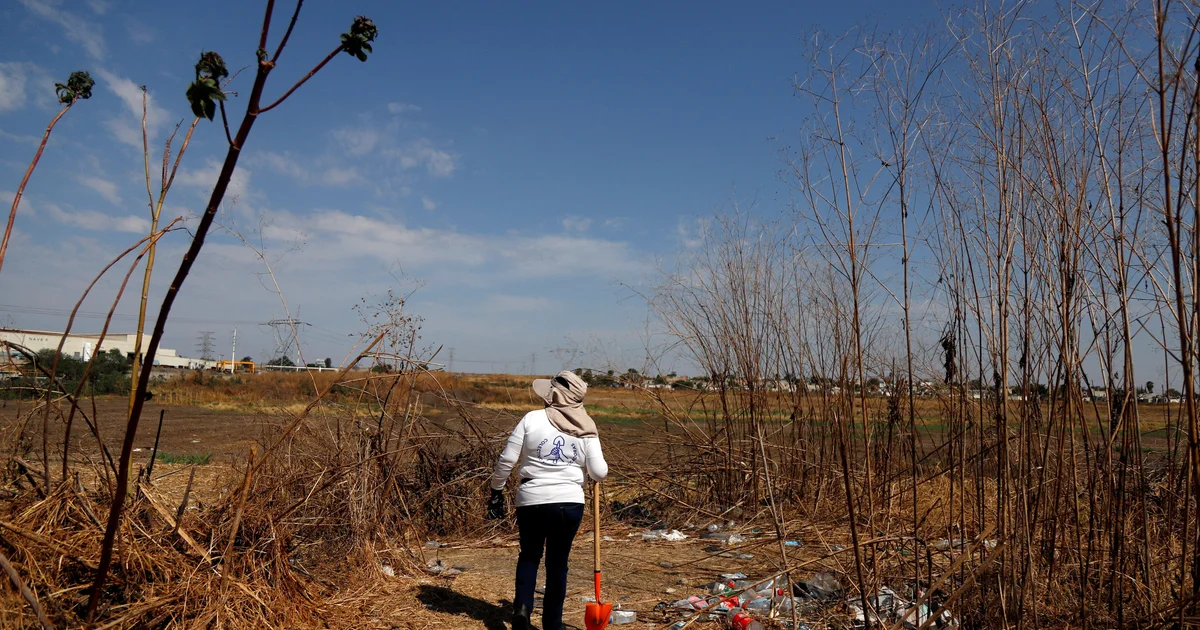 At Least 11 Bodies Found in Hidden Graves in Western Mexico