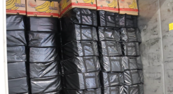 UK Authorities Seize 5 Tons of Cocaine Worth Over $500M in Shipments