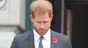 Prince Harry Faces Legal Troubles Over Charity Commission