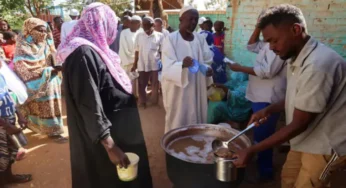 Sudan Food Crisis Deepens: Millions Survive on One Meal Daily