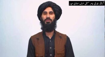 Amir Sohail Arrested: Fitna al-Khawarij Linked to Afghan Taliban