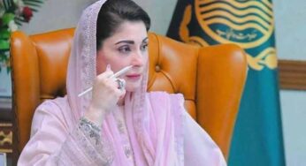 Punjab CM Maryam Chairs Health Sector Review Meeting