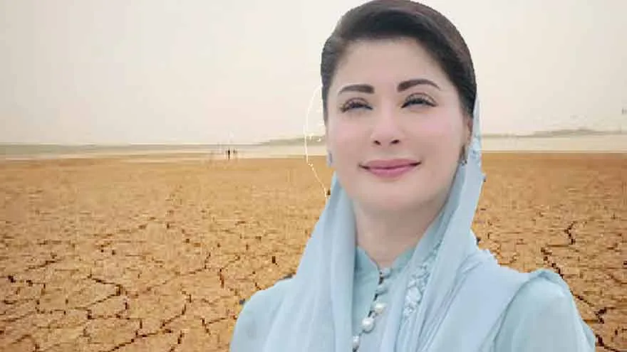 Punjab Launches Shrimp Project to Transform Barren Land into Economic Zones