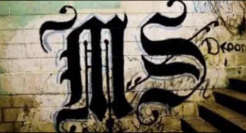 Nearly 490 MS-13 Members Go Trial for Thousands of Murders in El Salvador
