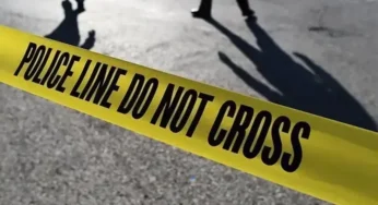 3 Children Found Dead in Lahore’s Shah Jamal After Throat Slitting Incident
