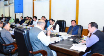 Cabinet Praises Leadership in Promoting Peace, Boosting Global Stature