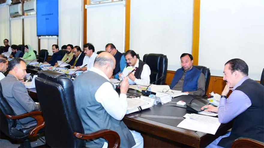 Cabinet Praises Leadership in Promoting Peace, Boosting Global Stature