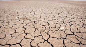 El Nino to Return by Mid-2026, UN Warns