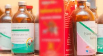 FIA Busted Fake Veterinary Injection Factory, Four Arrested