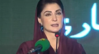 Punjab Prepares 1M Animal Exports Amid Livestock Reforms Led by Maryam Nawaz