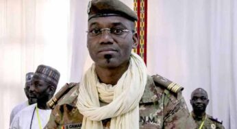 Defence Minister Killed Amid Mali Militant Assaults
