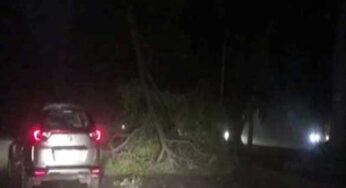 Storm Causes 200 LESCO Feeder Trips in Lahore, Disrupting Power Supply