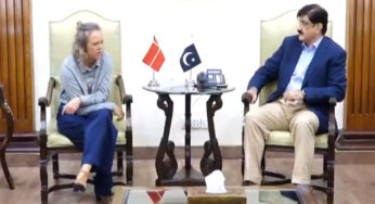 Danish Envoy Discusses Investment Opportunities with Sindh CM Murad