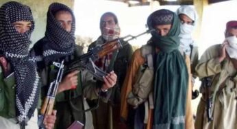 EU Leak Warns Taliban-Linked Extremism Emerging as Major Threat to Europe